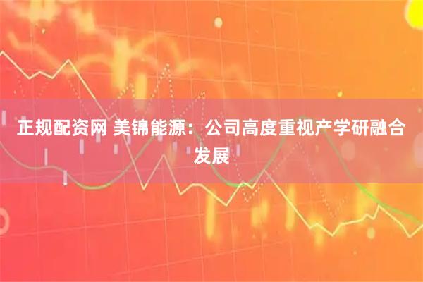 正规配资网 美锦能源：公司高度重视产学研融合发展